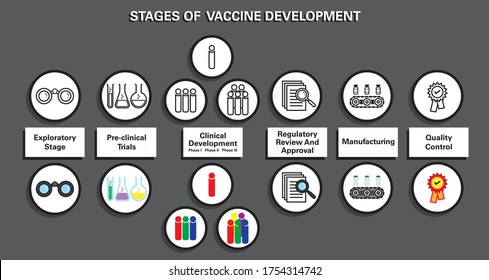 High Quality Colored and Plain Vectors Line Art Set for The Stages of Vaccine Development