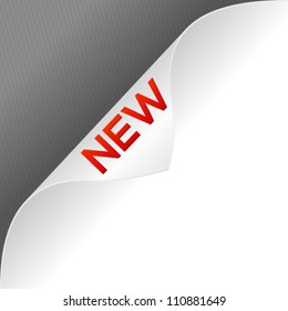 High quality curled paper corner with 3d new word. Vector illustration.