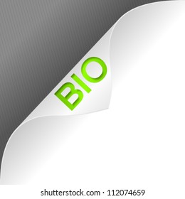 High quality curled paper corner with 3d word. Vector illustration.