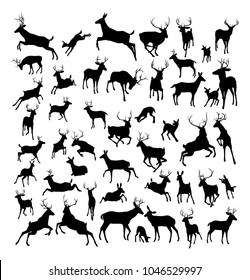 High quality deer silhouettes. Fawn, doe, bucks and stags in various poses. 