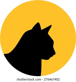 High Quality Digital Media Asset