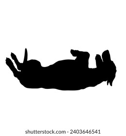 High quality Dog lying on its back silhouette Breeds Bundle Dogs on the move. Dogs in different poses.
The dog jumps, runs. dog is sitting. The dog is lying down  playing