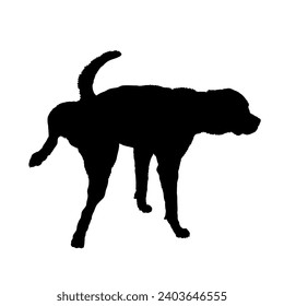 High quality Dog  is peeing silhouette Breeds Bundle Dogs on the move. Dogs in different poses.
The dog jumps, runs. dog is sitting. The dog is lying down  playing