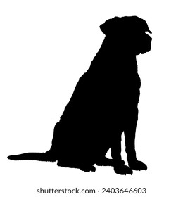 High quality Dog is sitting silhouette Breeds Bundle Dogs on the move. Dogs in different poses.
The dog jumps, runs. dog is sitting. The dog is lying down  playing