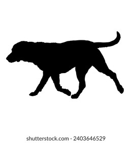 High quality Dog walking silhouette Breeds Bundle Dogs on the move. Dogs in different poses.
The dog jumps, runs. dog is sitting. The dog is lying down  playing