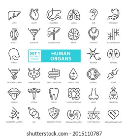 High Quality Full Vector Thin Line Icon Set - Human Organs, Anatomy, Medical