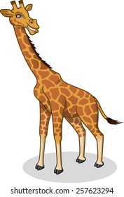 High Quality Giraffe Vector Cartoon Illustration 