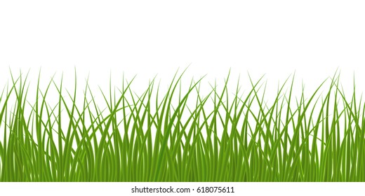 High quality green grass on white background, seamless vector illustration.