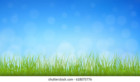 High quality green grass on blue sky background, vector illustration.