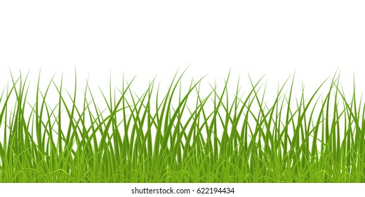 High quality green grass on white background, seamless vector illustration.