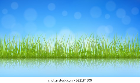 High quality green grass with reflection on water surface, vector illustration.