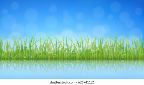 High quality green grass with reflection on water surface, vector illustration.