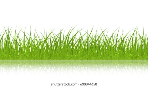 High quality green grass with reflection on white background, seamless vector illustration.