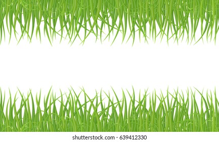 High quality green grass seamless border on white background, vector illustration.