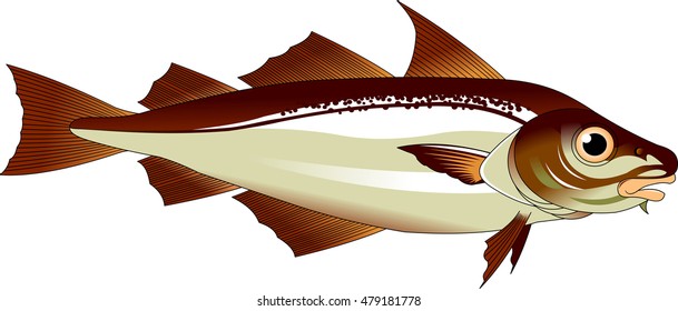 high quality haddock cartoon character include flat design