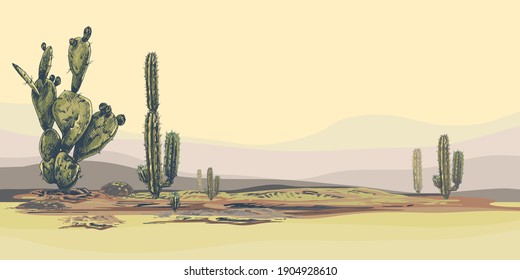 High quality horizontal desert landscape background with cacti, sunset, natural
 stylish, vector background with tropical flowers, suculents, perfect for wallpapers, web page backgrounds, surface text