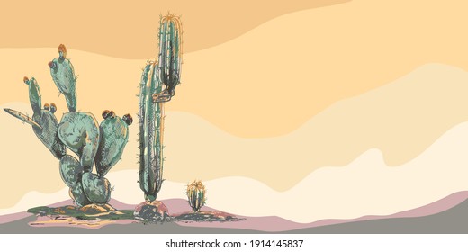 High quality horizontal desert landscape background with cacti, sunset, natural
 stylish, suculents, perfect for wallpapers, web page backgrounds, surface textures