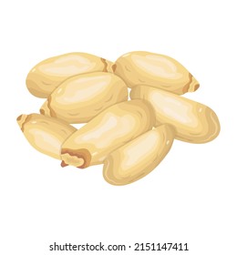 Diseño de iconos isométricos de alta calidad para nueces de pino 

