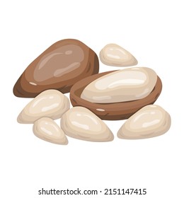 High quality isometric icon design of pine nuts 

