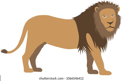 High quality lion vector real-like, cartoon illustration