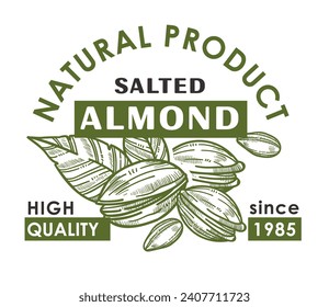 High quality natural nut without artificial flavors. Source of energy and vitamins. Almonds with addition of sea salt for gourmets. Promotional banner or product package sticker. Vector in flat style