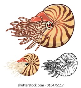 High Quality Nautilus Cartoon Character Include Flat Design and Line Art Version