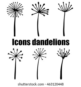 High quality original set of dandelions isolated on white background