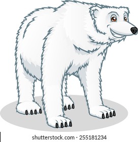 High Quality Polar Bear Vector Cartoon Illustration