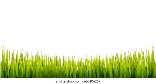 High quality realistic grass border. Vector illustration element for different uses