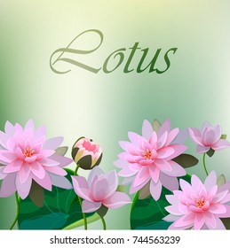 High quality realistic vector illustration of lotus flower. Background with lotus. Wedding invitation