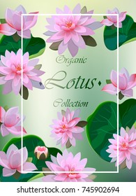 High quality realistic vector illustration of lotus flower. Greeting or wedding card. Invitation or label for parfume