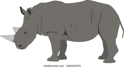 High quality rhino vector real-like, cartoon illustration rhinoceros