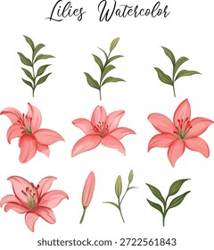  A high quality set of hand painted lily flowers and botanical leaves in watercolor style. Includes open blooms, buds, and various green stems. Perfect for wedding invitations, greeting cards, floral patterns, and DIY craft projects