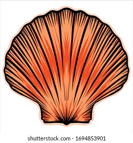 High quality shell colored vector illustration