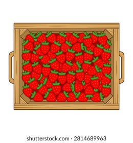 A high quality top view illustration showing a wooden crate filled with fresh red strawberries on a solid white background. This detailed design captures the essence of a summer harvest with vibrant colors and natural textures for various food projects.