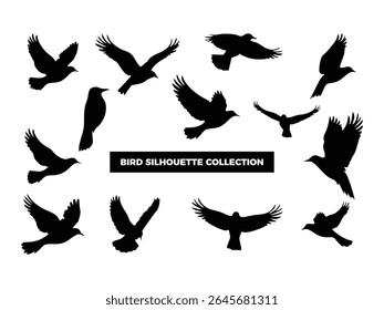 Silhuetas de aves vetoras de alta qualidade em várias poses, voando, descansando e empoleirado. Ideal para logotipos, camisetas, cartazes e projetos de design com temas naturais.