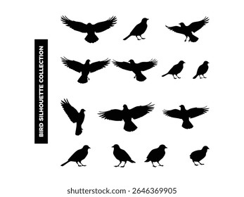 High quality vector bird silhouettes in various poses, flying, resting, and perched. Ideal for logos, t-shirts, posters, and nature themed design projects.