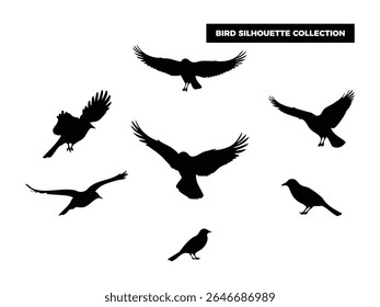High quality vector bird silhouettes in various poses, flying, resting, and perched. Ideal for logos, t-shirts, posters, and nature themed design projects.