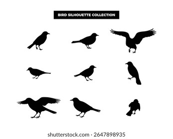 High quality vector bird silhouettes in various poses, flying, resting, and perched. Ideal for logos, t-shirts, posters, and nature themed design projects.