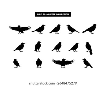 High quality vector bird silhouettes in various poses, flying, resting, and perched. Ideal for logos, t-shirts, posters, and nature themed design projects.