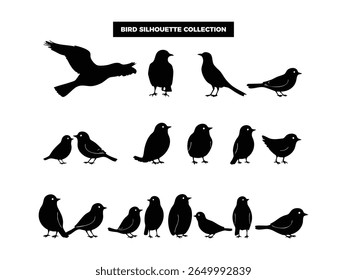 High quality vector bird silhouettes in various poses, flying, resting, and perched. Ideal for logos, t-shirts, posters, and nature themed design projects.