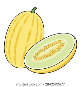 High quality vector clip art of fresh yellow melon with half slice showing seeds suitable for healthy grocery store design organic vegetarian diet flyer and culinary food label graphic