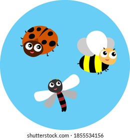 High quality vector collection of beetles and insects