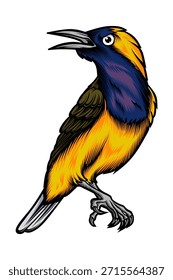 High quality vector illustration of a blue and yellow singing bird with open beak. Designed with bold clean line art, vibrant contrasting colors, and detailed feather texture. Dynamic bird character style, perfect for t-shirt design, sticker, mascot, logo, poster, branding, print on demand, and digital illustration projects. Isolated on white background, suitable for commercial use.