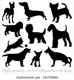 High quality vector silhouettes of dogs