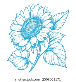 High quality vector sunflower line art