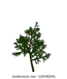 High quality vector tree with green leaves