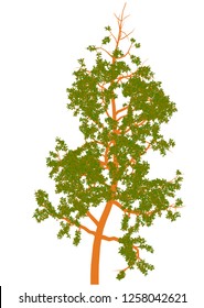 High quality vector tree with leaves