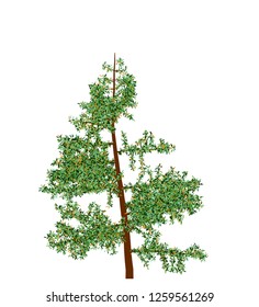 High quality vector tree with leaves