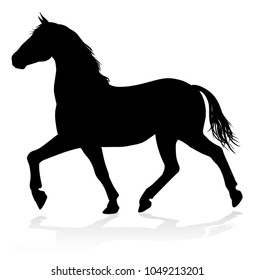 A high quality very detailed horse in silhouette